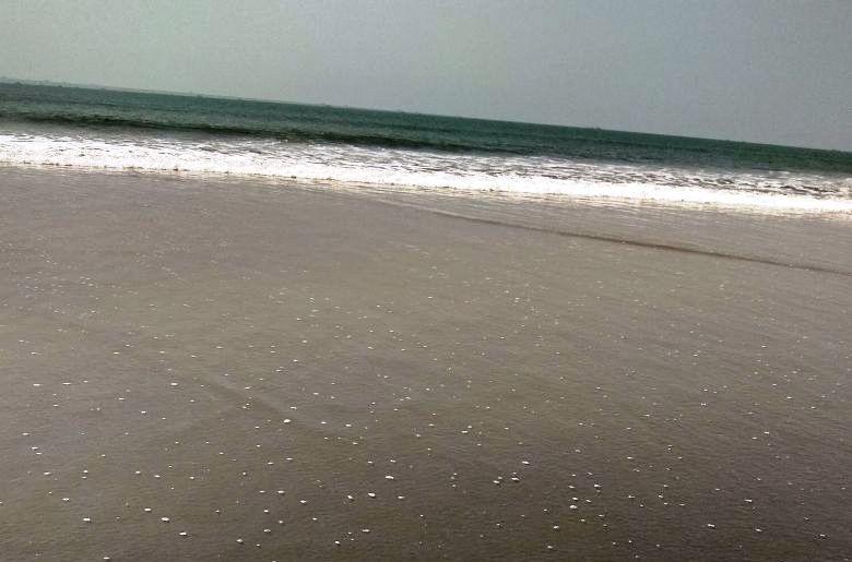 Saritas Guest House - Bogmalo Beach المظهر الخارجي الصورة